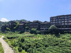 -程阳八寨景区