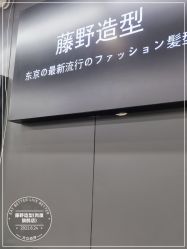 点击看大图 -藤野造型