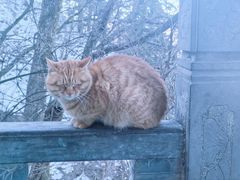 -终南山南五台景区