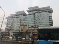 -东椰·海南椰子鸡火锅(朝阳门店)