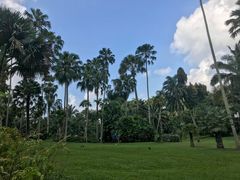 -新加坡植物园