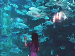 -成都浩海立方海洋公园