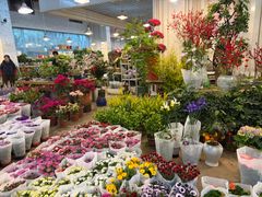 -双季花艺园艺市场(浦东店)