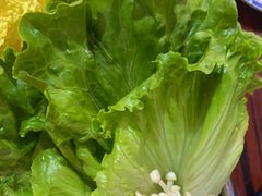 -沙胆彪炭炉牛杂煲(成都玉林店)