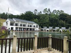 -谷丰健康凤贤居酒家