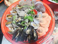-邵年鸽(杨庄店)