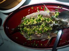 -钟菜·粤菜点心·宴请(海上世界·汇港二期店)