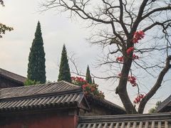 -少林寺欢喜地素斋馆