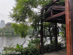 -重庆彩云湖湿地公园