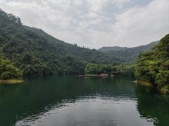 -鼎湖山风景区