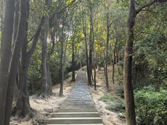 -火炉山森林公园