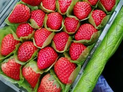 -可莎蜜兒(浦沿店)