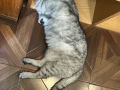 -隅cafe(傅厚岗店)