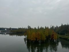 -白鹭湾湿地公园