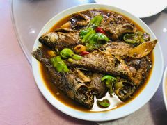 -天乐农家鱼头王(天目湖店)
