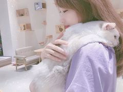 -藏猫猫咖啡主题馆(中央大道店)