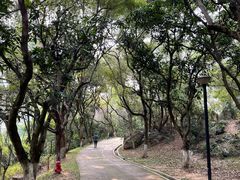 -燕晗山郊野公园
