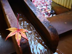 -有马温泉 竹取亭円山温泉旅馆