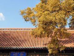 -晋祠公园