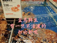 -盒马X会员店(王府井奥莱UP TOWN店)