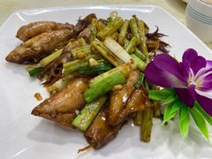 -强记湛江鸡饭店·二十七年老字号(拱北店)