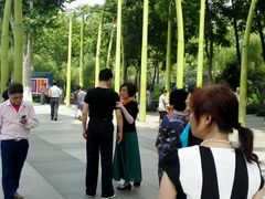 -泰州凤城河风景区-泰山公园