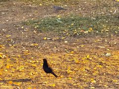 -康熙养生SPA·轻奢足道(江宁万达店)