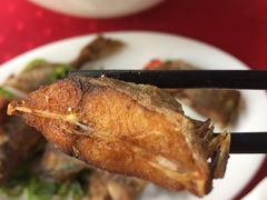 -蛇口康乐快餐鱼仔档(翠苑小区店)