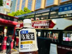 -BUS TOUR观光巴士