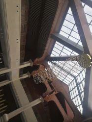 -龙子湖迎宾馆·宴会