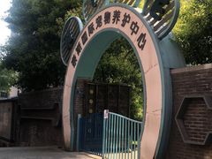 -奈斯宠物医院·核磁CT·异宠专科·内镜(中南店)
