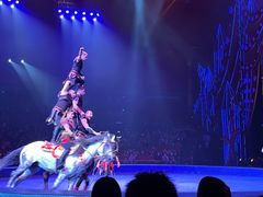 -珠海横琴长隆《卡卡虎奇遇记》