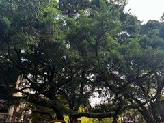 -桂林独秀峰王城景区