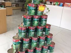 -立邦(武侯区西部专卖店)