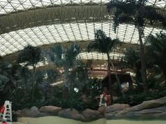 -杭州开元森泊度假乐园