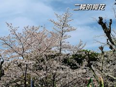 -全乐鱼馆·淳牌有机鱼直营店
