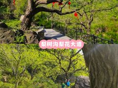 -天津盘山风景名胜区