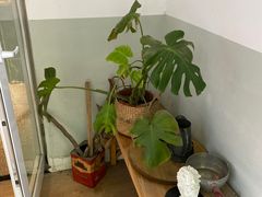 -甘单茶事小馆(洋河店)