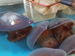 -金海湾海鲜总店