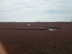 -红海滩国家风景廊道