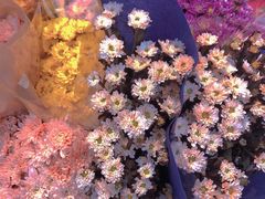 -循礼门鲜花花市(武汉循礼门店)