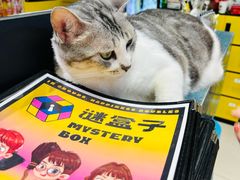 -谜盒子奇幻密室(南屏店)