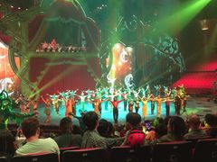 -珠海横琴长隆《卡卡虎奇遇记》