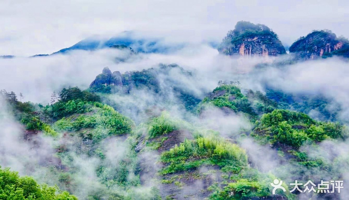 影落杯中五老峰,话说武夷山水