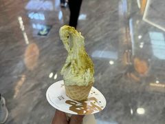 -野人先生现做冰淇淋(西安赛格店)