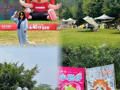 -广西壮族自治区药用植物园