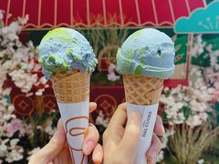 燕麦地球-Dal Cuore 达可芮冰淇淋(陕西北路店)