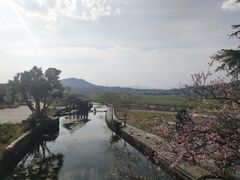 -小厨子私房菜·云南美食店