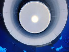 -上海城市规划展示馆