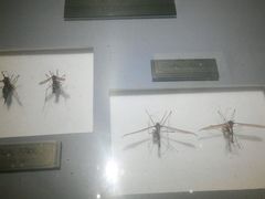 -上海昆虫博物馆